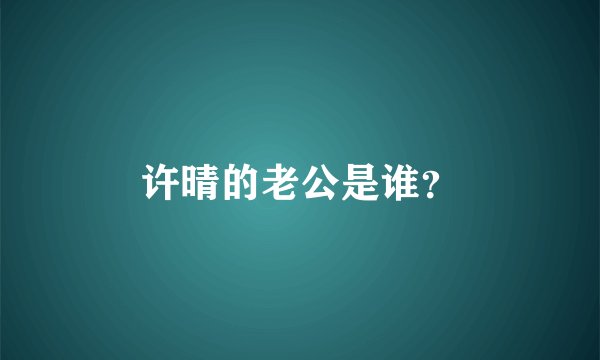 许晴的老公是谁？