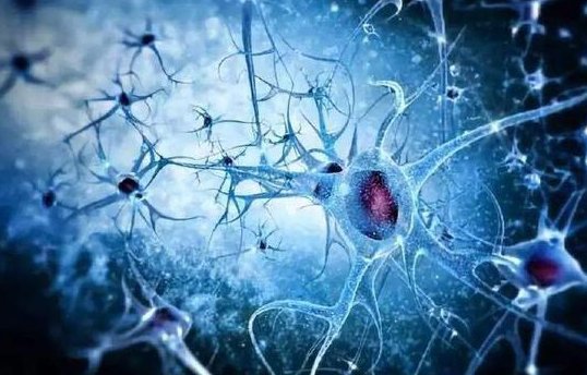 nn的意思是什么？