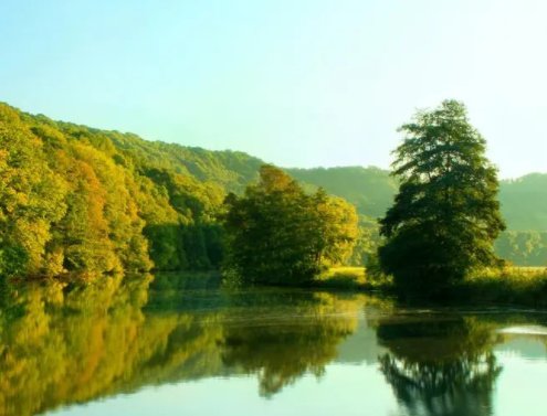 2021总结的经典语句有哪些？