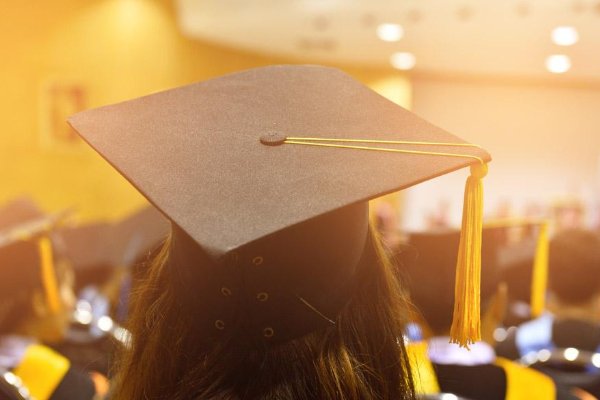 为何现在越来越多博士逃离科研工作了，是科研很难吗？