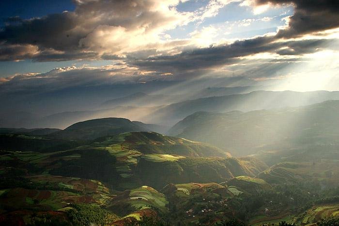 艾青的我爱这土地全文