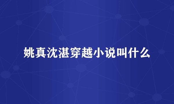 姚真沈湛穿越小说叫什么