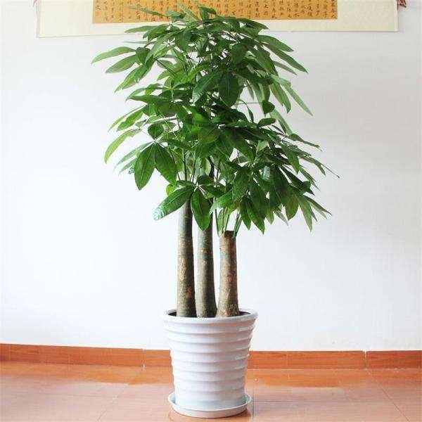 开业送什么礼品好？