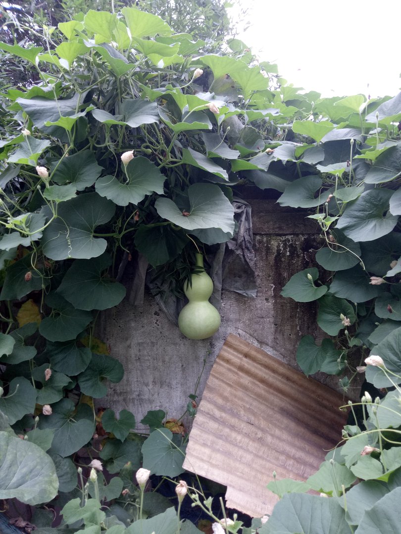 10100900是法院电话吗？