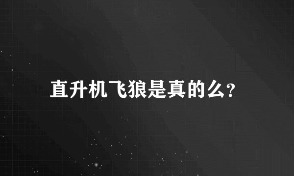 直升机飞狼是真的么？