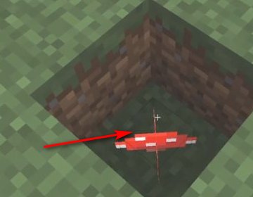 在我的世界中如何传送到蘑菇岛上？