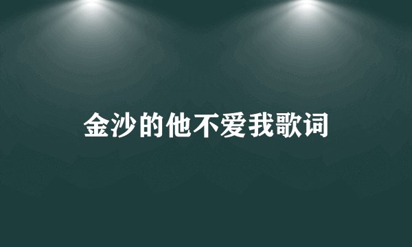 金沙的他不爱我歌词