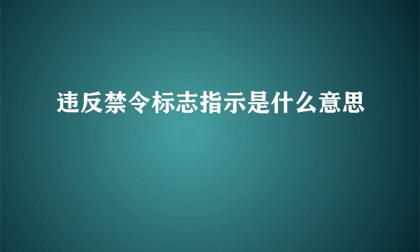 违反禁令标志指示是什么意思