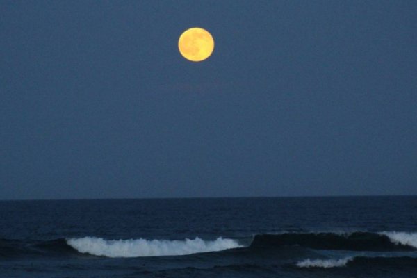 山月不知心底事的下一句是什么？