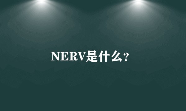 NERV是什么？