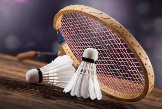 羽毛球是用什么动物羽毛制成的