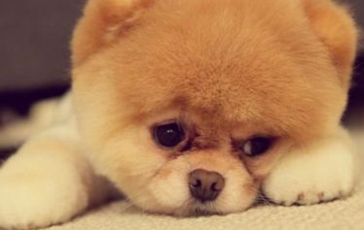 累的像什么填三个字怎么填？