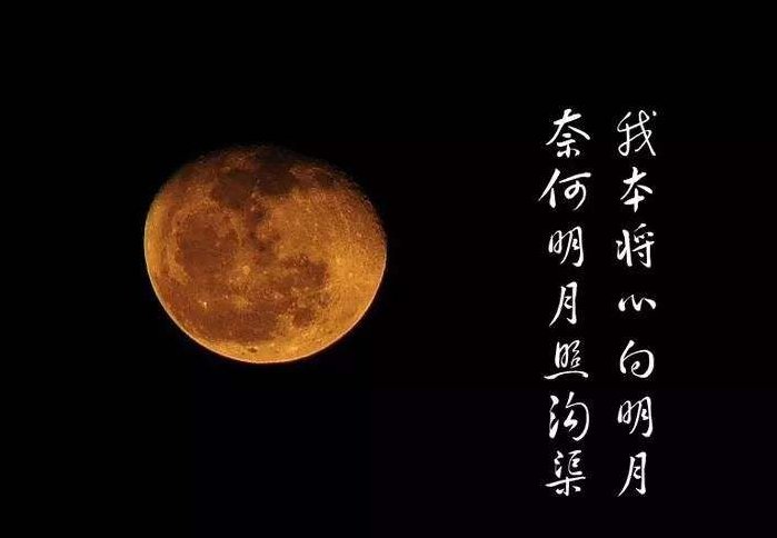 我将真心照明月，奈何明月照沟渠什么意思