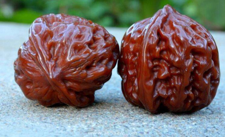 文玩核桃怎么保养和护理