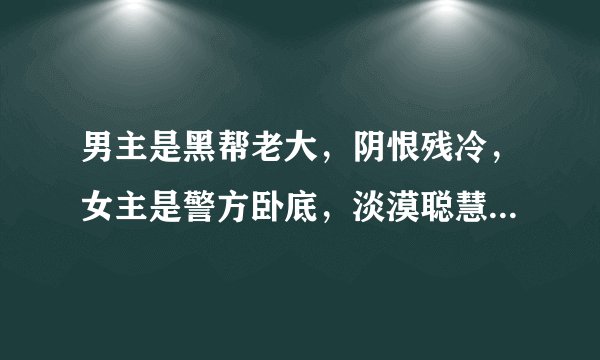男主是黑帮老大，阴恨残冷，女主是警方卧底，淡漠聪慧 男主却喜欢上女主且强要了女主的文， 另外结局要好