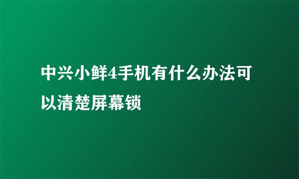 中兴小鲜4手机有什么办法可以清楚屏幕锁
