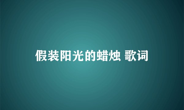 假装阳光的蜡烛 歌词
