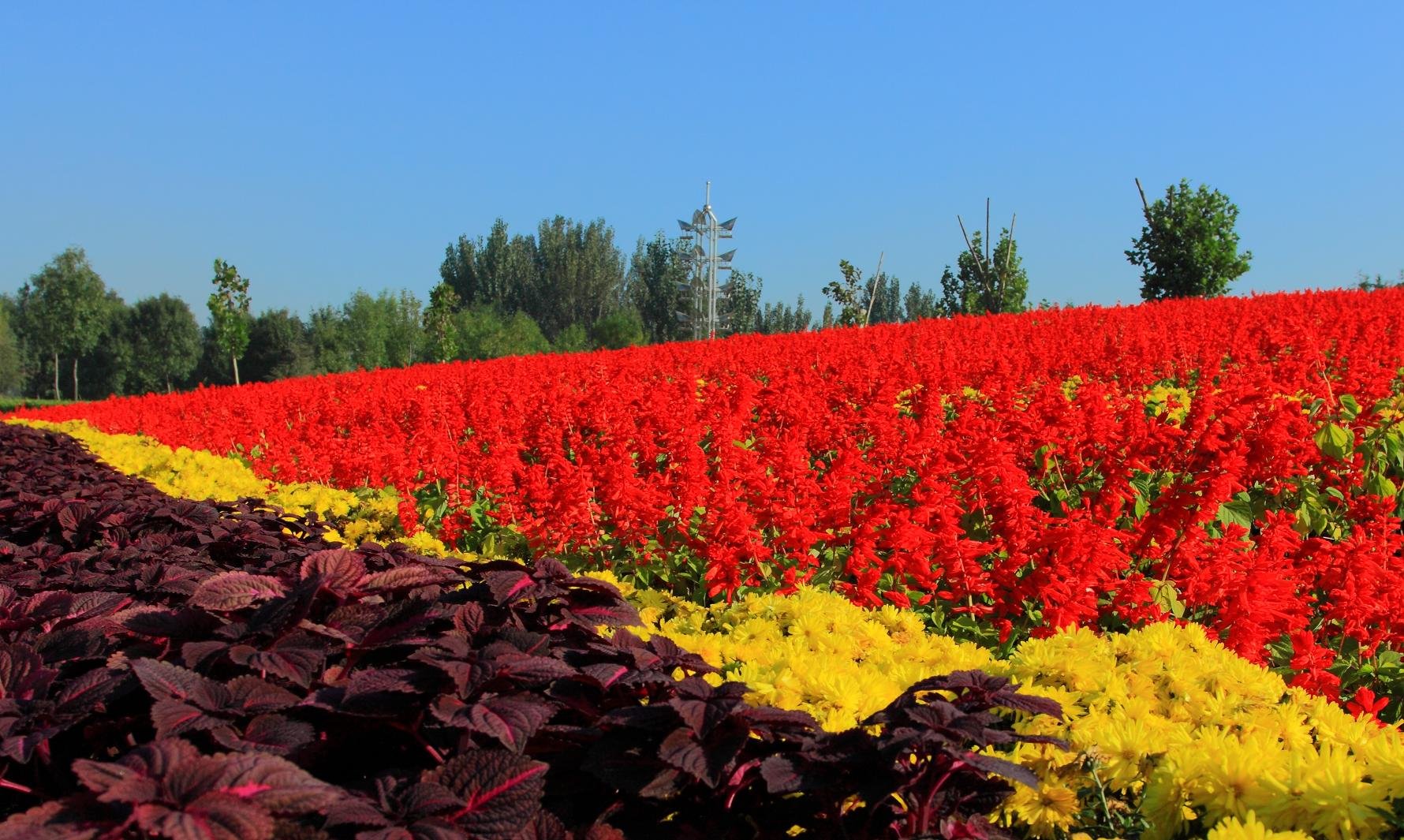 姹紫嫣红的姹和嫣是什么意思？