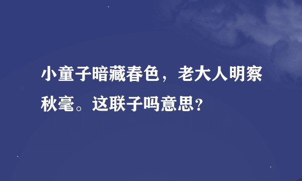小童子暗藏春色，老大人明察秋毫。这联子吗意思？