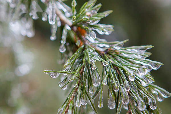 今年三九没有二九冷，前段时间冷空气为何令人窒息？