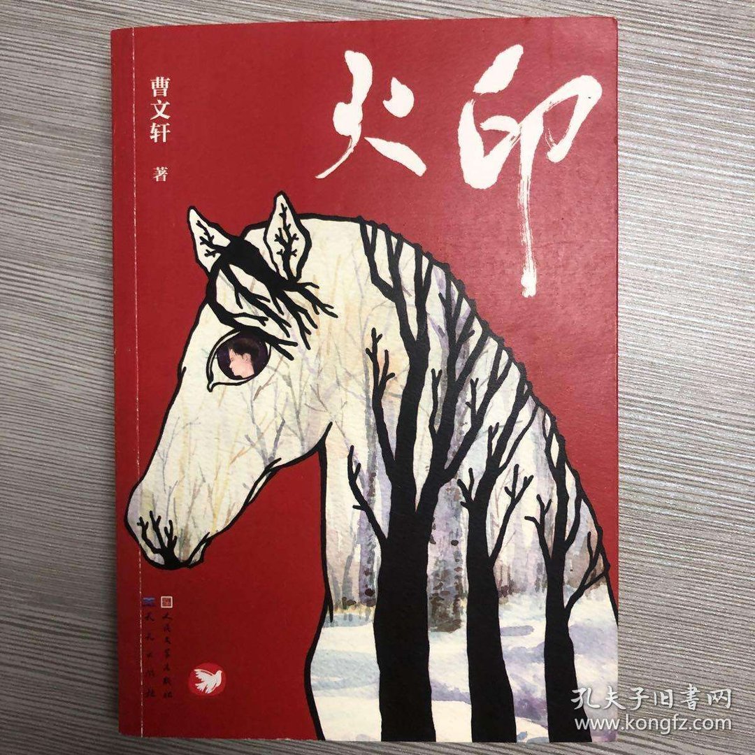 火印全书的主要情节