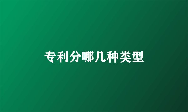 专利分哪几种类型