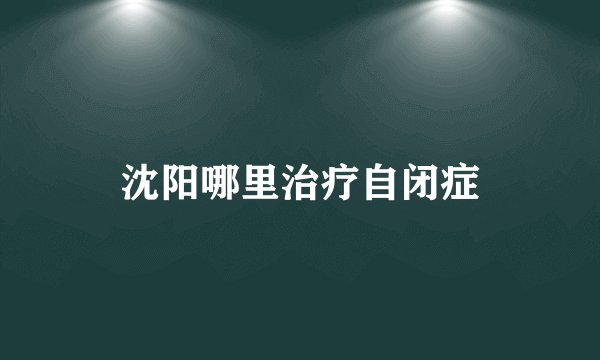 沈阳哪里治疗自闭症