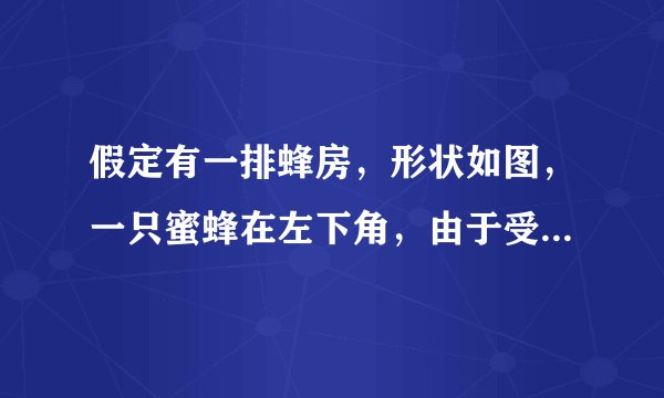 假定有一排蜂房，形状如图，一只蜜蜂在左下角，由于受了点伤，只能爬行，不能飞，而且始终向右方（包括右