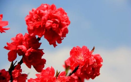 漂亮用英语怎么读