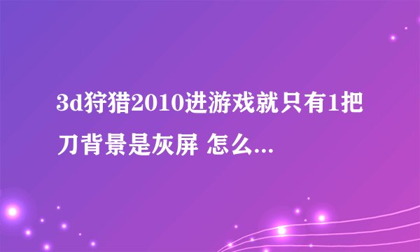 3d狩猎2010进游戏就只有1把刀背景是灰屏 怎么回事 高人指点