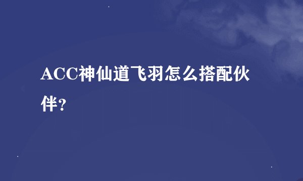 ACC神仙道飞羽怎么搭配伙伴？