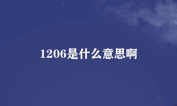 1206是什么意思啊