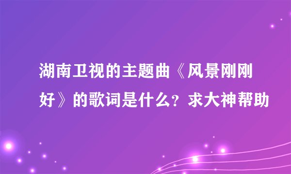 湖南卫视的主题曲《风景刚刚好》的歌词是什么？求大神帮助