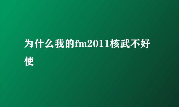 为什么我的fm2011核武不好使
