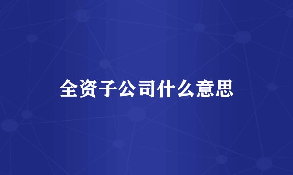 全资子公司什么意思