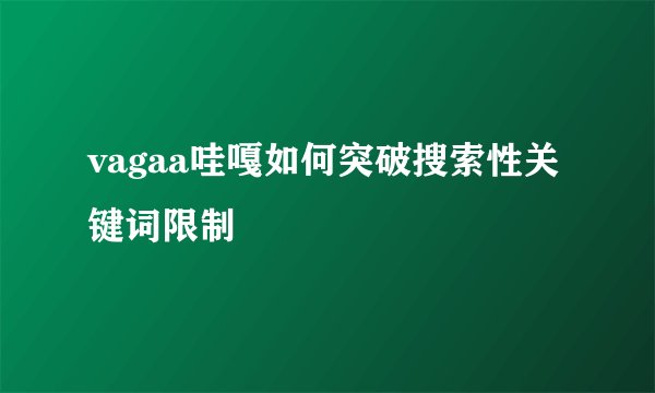 vagaa哇嘎如何突破搜索性关键词限制