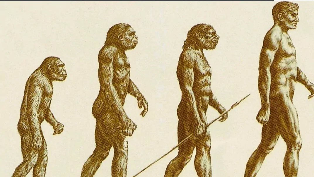 人类进化了多少年？