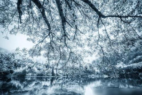 今年三九没有二九冷，前段时间冷空气为何令人窒息？