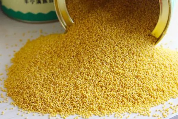 承德特产有哪些土特产？