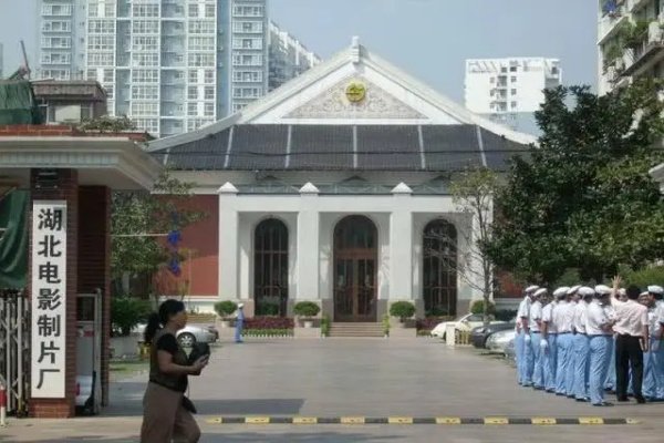 常凯导演一家4口12天内去世，说了什么遗言刺痛人心？