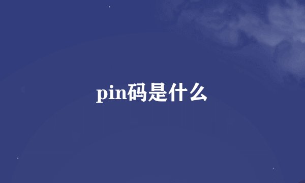 pin码是什么