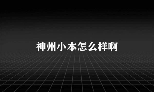 神州小本怎么样啊