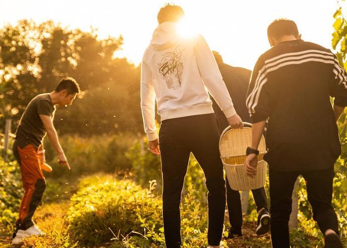 倪萍吐槽4位主持人全是废物，她为何这么敢说？