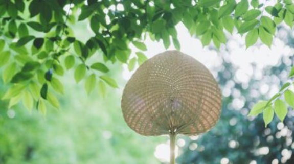 2022夏至是几月几日?