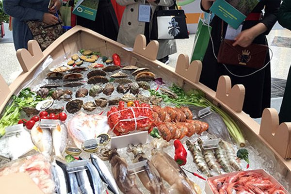 獐子岛被网友称为史上最无耻的公司，为何网友这么厌恶它？