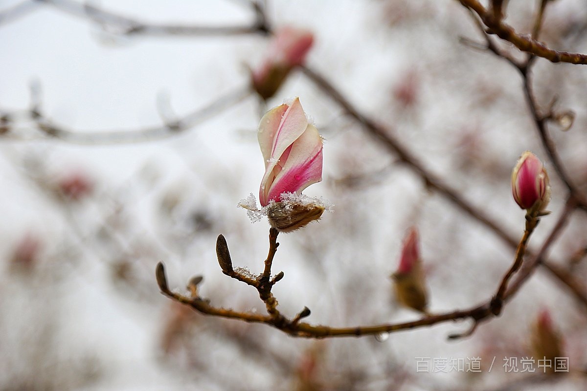 忽有故人心上过回首山河已是秋是什么意思？