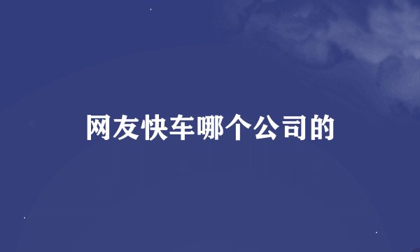 网友快车哪个公司的