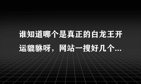 谁知道哪个是真正的白龙王开运貔貅呀，网站一搜好几个，不知道哪个是真的