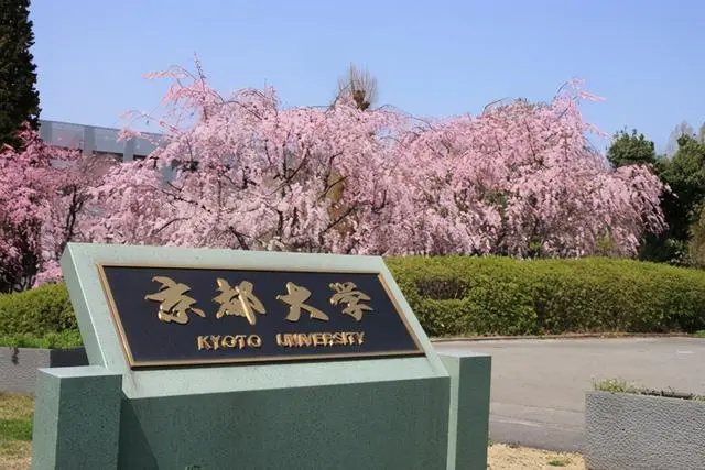 2021日本大学前100排名