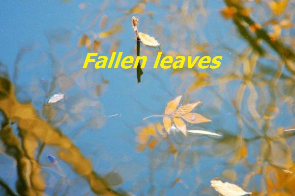 fallen是什么意思